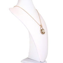 Load image into Gallery viewer, Elegant Brown Crystal Oval Medallion Charm Pendant Gold Tone Long Necklace