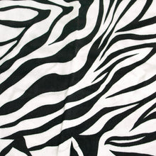 Load image into Gallery viewer, TrendsBlue Elegant Zebra Animal Print Fringe Scarf - Diff Colors Avail