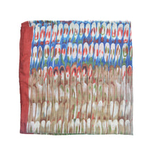 Load image into Gallery viewer, Elegant Multi Color Feather Print Frayed Edge Fashion Scarf Shawl Wrap